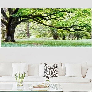 ^TCY ㋉Ҍ t _ChA[g _ChhJ Lbg r[YhJ  tbVO[ 厩R UCNA[g pYA[g nr