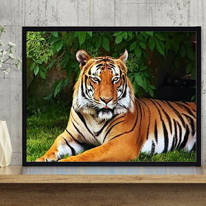  t _ChA[g _ChhJ Lbg r[YhJ ДN  ^CK[ Qׂ UCNA[g nr  G J[r[Y nhCh