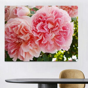  t _ChA[g _ChhJ Lbg r[YhJ VNN 䉖 t[ UCNA[g nr  G J[r[Y nhCh