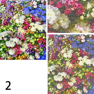 ㋉ t _ChA[g _ChhJ Lbg r[YhJ t[EH[ Ԕ A[eBVt UCNA[g pYA[g nr  G nhCh