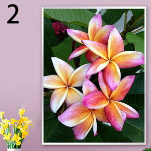  t _ChA[g _ChhJ Lbg r[YhJ vA nCA K[x t[ UCNA[g nr  G J[r[Y nhCh