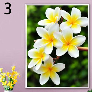  t _ChA[g _ChhJ Lbg r[YhJ vA nCA K[x t[ UCNA[g nr  G J[r[Y nhCh