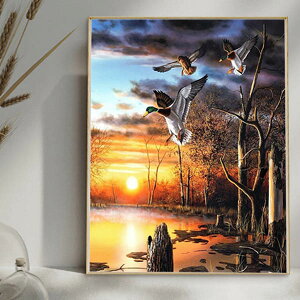 ㋉ t _ChA[g _ChhJ Lbg r[YhJ [ ΂̂قƂ O[X  UCNA[g nr  G J[r[Y nhCh