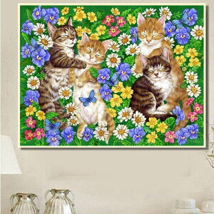  t _ChA[g _ChhJ Lbg r[YhJ L Ԕ Q ق̂ڂ nr  G J[r[Y nhCh