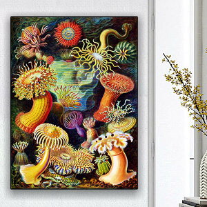  t _ChA[g Lbg r[YhJ GXgEwbP w svc  UCNA[g nr  G J[r[Y nhCh