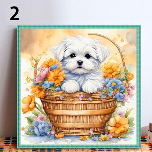  t _ChA[g Lbg r[YhJ q }`[Y |jA UCNA[g nr  G J[r[Y nhCh