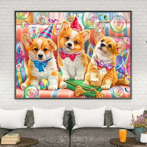  t _ChA[g Lbg r[YhJ R[M[ q a UCNA[g nr  G J[r[Y nhCh