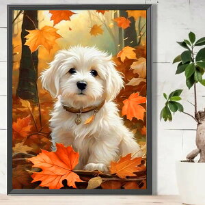  t _ChA[g Lbg r[YhJ }`[Y  gt H̐X UCNA[g nr  G J[r[Y nhCh