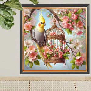 ㋉ t _ChA[g Lbg r[YhJ IJCR  ̉ IE UCNA[g pYA[g nr  G J[r[Y