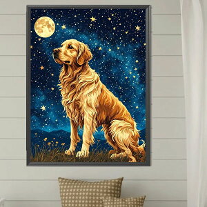  t _ChA[g Lbg r[YhJ S[fg[o[   UCNA[g nr  G J[r[Y