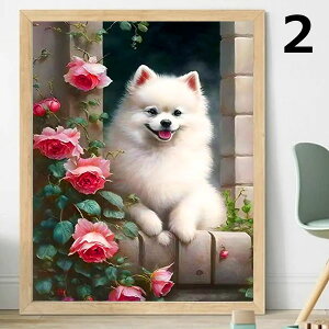  t _ChA[g Lbg r[YhJ |jA q   UCNA[g nr  G J[r[Y