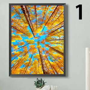  t _ChA[g Lbg r[YhJ gt H sy ݂ X nCLO UCNA[g nr  G J[r[Y