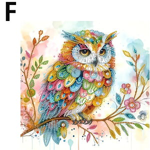 CXg[r[Y n[t _ChA[g hJLbg ӂ낤 zI tNE   UCNA[g pYA[g nr  G