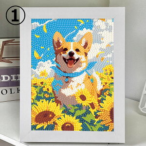 ؐt[t _ChA[g hJLbg R[M[  Ђ܂ ci Aj pYA[g nr  G UCNA[g