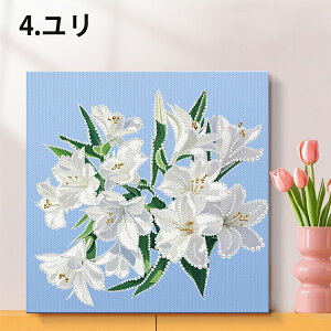 t[t p[r[Y n[t _ChA[g hJLbg o Ђ܂  vZX pYA[g nr  G