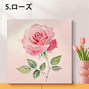 t[t p[r[Y n[t _ChA[g hJLbg o Ђ܂  vZX pYA[g nr  G