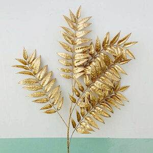 1 S[h[t EV t   ^IuWF k ^bN A[eBtBV[t C~e[V CeA A fBXvC