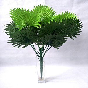 1 nCA mRMV V̗t 썑 ϗtA MщJ lH  [t tFCNO[ XbO C~e[V fBXvC