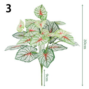 1 Iׂ3  ϗtA t XCJ؂ yy~A JW[ [t tFCNO[ CeAt[ C~e[V fBXvC