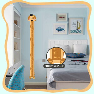 EH[XebJ[ q gv g   K LbY Aj}fUC ǃfR[V k DIY rO