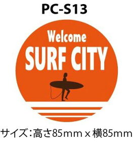 IUr[`@T[tXebJ[@[֑Ή T[tBObY T[tObY SURF JX^ g ό ϐ Ogp@PC-S13