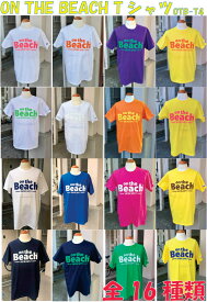 オンザビーチ Tシャツ 全16種 T4 フルーツオブザルーム使用 オリジナル サーフブランド サーフィングッズ サーフグッズ SURF　メール便 送料無料