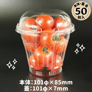 XpbN oCILX 101pC 390 B GbW {́EWe50 VfEA[g (XJbv Xe X  JLSI t^t Hie ĝ eCNAEg KXH