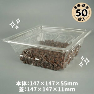 XpbN oCILX 15-55 B LR {́EWe50 VfEA[g (t^t Hie ĝ eCNAEg KXH|Zp  oCIPET T_ XC[c t[c 