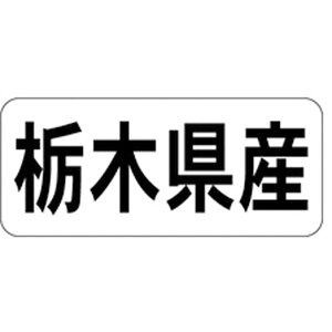 YnV[Ex K|1308@Ȗ،Yi1/1000jyKiez15×35mm