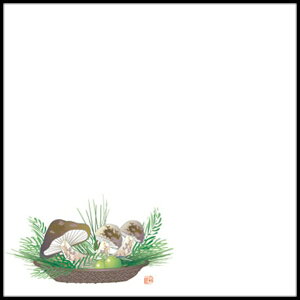 yo̔zVՂ~@ϖV@4@i9`10ji1/100jyKiez120×120mm