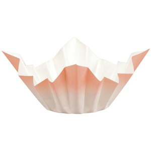 yP[X̔z@Fa@SKA|144@i1P[X/1500j