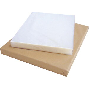 yo̔zHiV[g nV[gCPP25@250X250i1/1000jyKiez250×250mmy݁z0D025mm