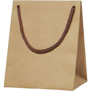 yP[X̔zGݑ܁@NtgS@B|160Si1P[X/100j4562337465205