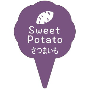 yo̔zP[LsbN@D|0312@to[sbN@܂i1/150j4529671100834