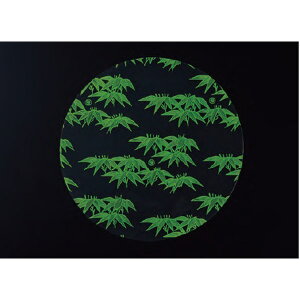 yP[X̔zOPPipV[g@@2lpi1/500j3720079