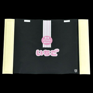 yP[X̔zC`StB@STRtB@RP[2@i1P[X/2000j4940221162599