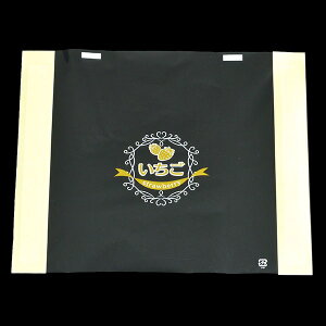 yP[X̔zC`StB@STRtB@HP[2@i1P[X/2000j4940221162612