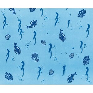 yP[X̔zK101@N[ipji1P[X/300j4562337468046