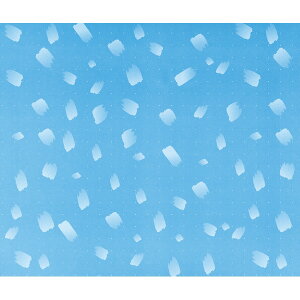 yP[X̔zK|100@N[iʗpji1P[X/300j4562337468039