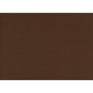 yP[X̔zK110@N[uE@i1P[X/300j4562337468008