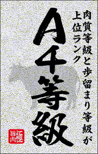 yxV[zA4 sJ BRy35mm×55mmzLY628Si1/200j4948982394624