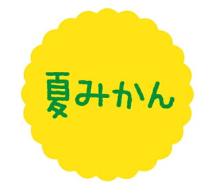 yxEV[zeCXeBV[@Ă݂@SO126i1/300j4941040910736