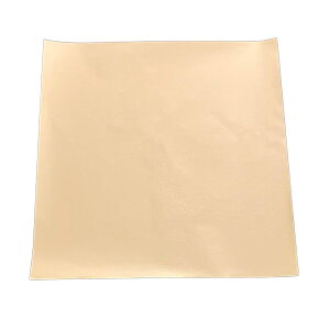 yP[X̔zA~@PV9iOjЉ@90×90mmi1/1000j4525097500043