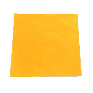 yP[X̔zA~@Z9iOjЉ@90×90mmi1/1000j4525097500029