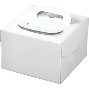 yP[X̔zP[L@H130@PFBfRzCg4D5{́i1P[X/100j4582479750250