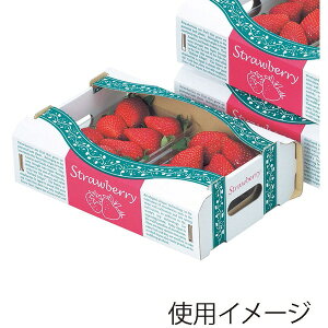 yP[X̔zpMtg@L|2093@Xgx[{bNXi1P[X/100j4525241214086