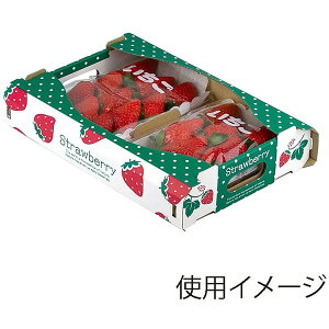 yP[X̔zpMtg@L|2506@Xgx[{bNX250gi1P[X/100j4525241215267