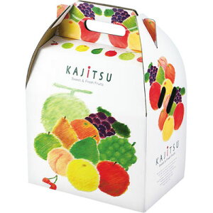 �y�P�[�X�̔��zL�|475�@�ʎ��p���b�g�L�����[�@���i1�P�[�X/50�Z�b�g���j4960457003855