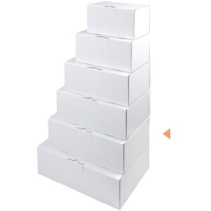 �y�P�[�X�̔��z�M�t�g���@EE�|695W�@�͂�����z���@12cm�i1�P�[�X/50�����j4525241211610