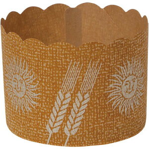 �}�t�B���J�b�vK�|6�i45H�jATK�@1�܁i100���j